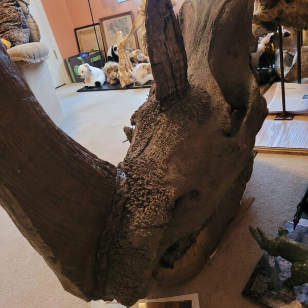 A large rhino statue sitting on top of the floor.