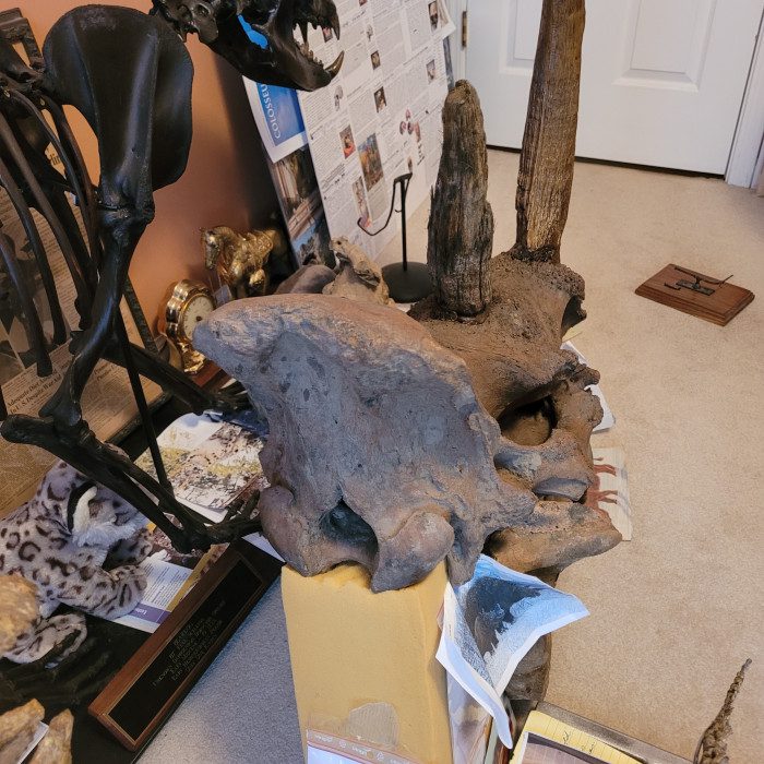 20240211_103316 A room with many different items on the floor