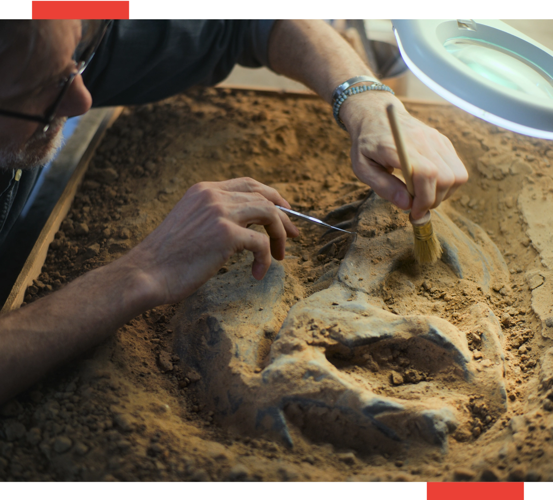 A person cutting something out of the ground