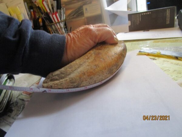 A person is holding onto a bread roll