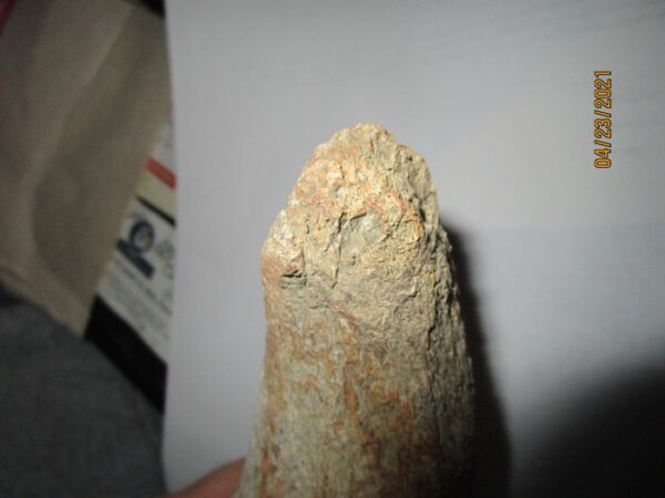A close up of the tip of an animal bone
