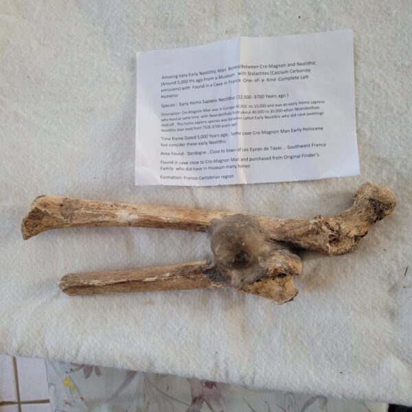 A bone with some writing on it