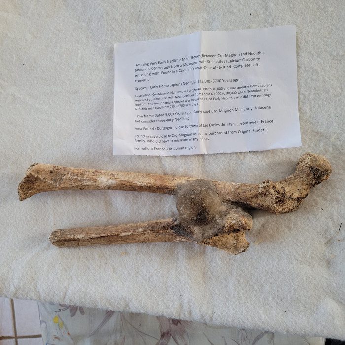 A bone with some writing on it