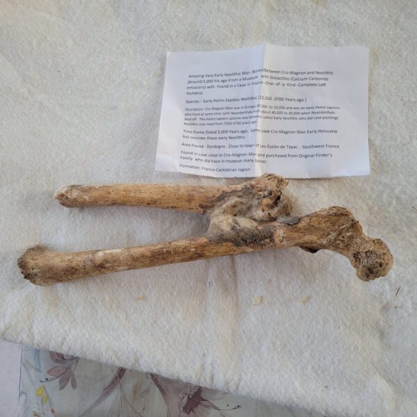 A hammer and some paper on the table