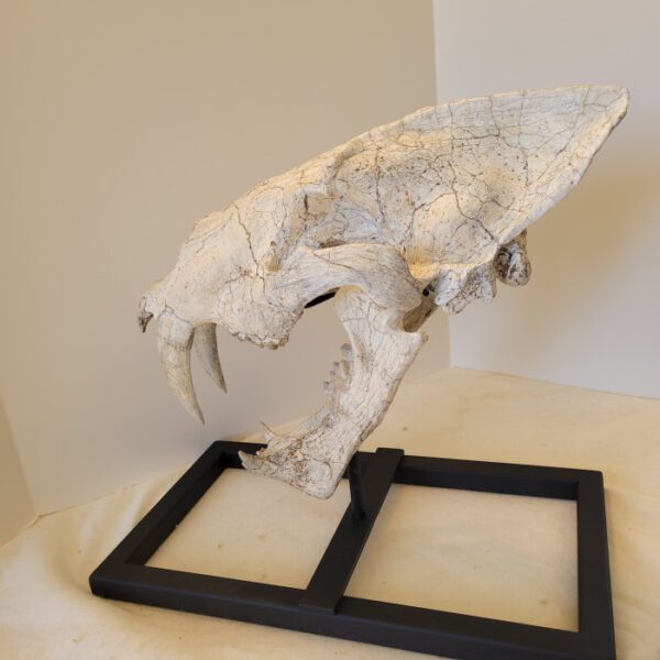A white elephant sculpture on top of a black frame.