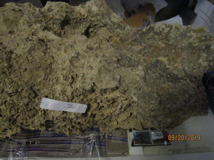 A large rock with some type of substance on it