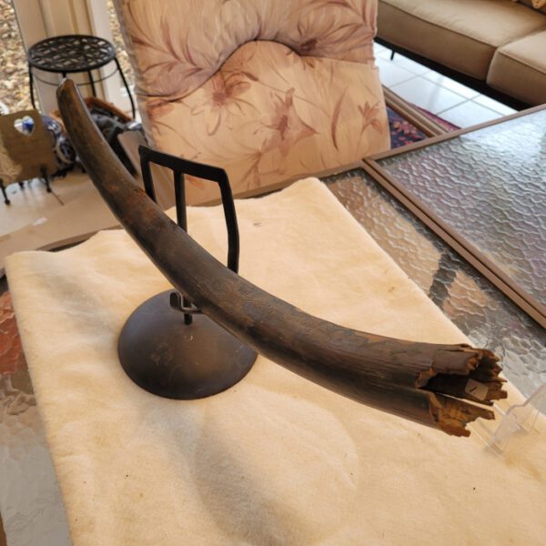 A large piece of wood sitting on top of a table.