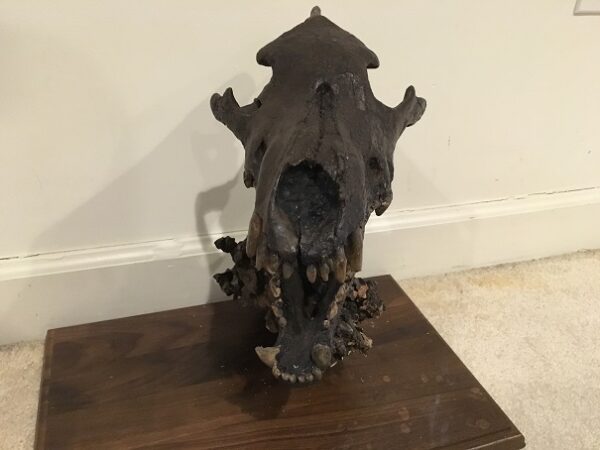 A sculpture of an animal on top of a table.