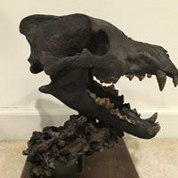 A black animal skull on top of a wooden stand.
