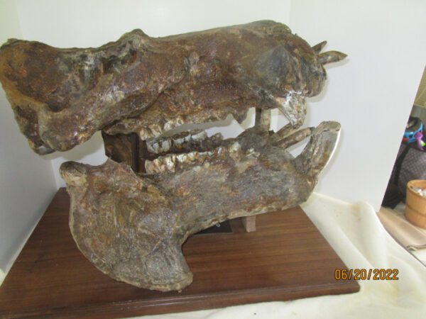 A bronze sculpture of two animals on top of a wooden stand.