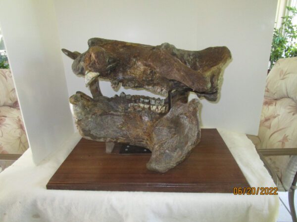 A sculpture of two animals on top of a wooden table.