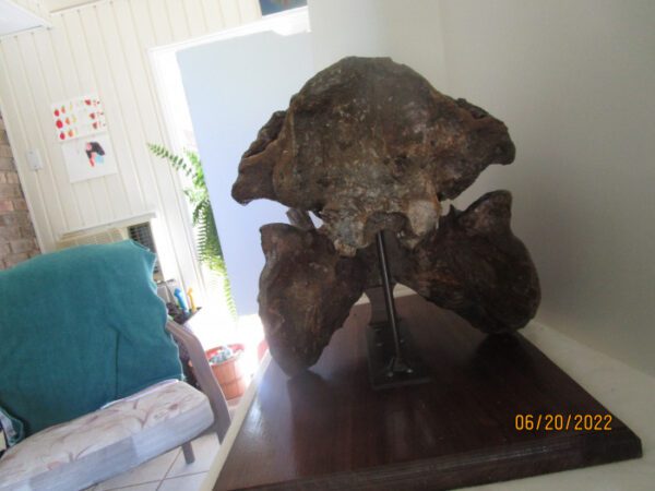 A couple of cats sitting on top of a wooden table.