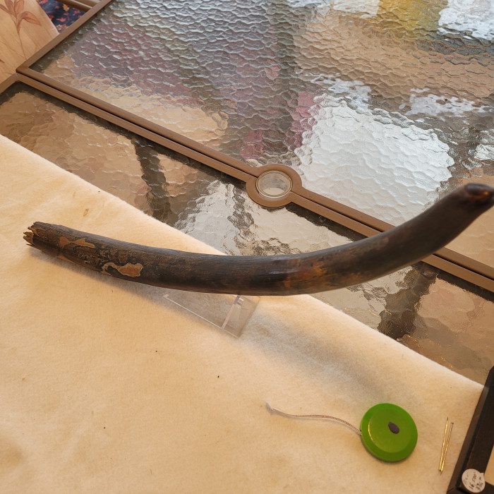 A bent piece of wood sitting on top of a table.