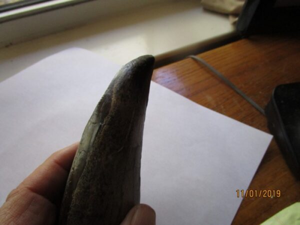A person holding an old banana peel in their hand.