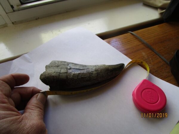 A person holding an object in their hand.