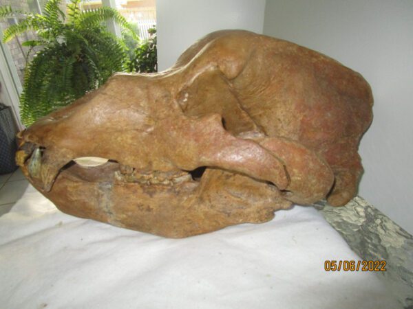 A large stone animal head sitting on top of a bed.