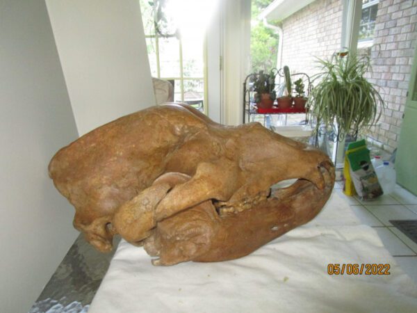 A large piece of wood sitting on top of a table.