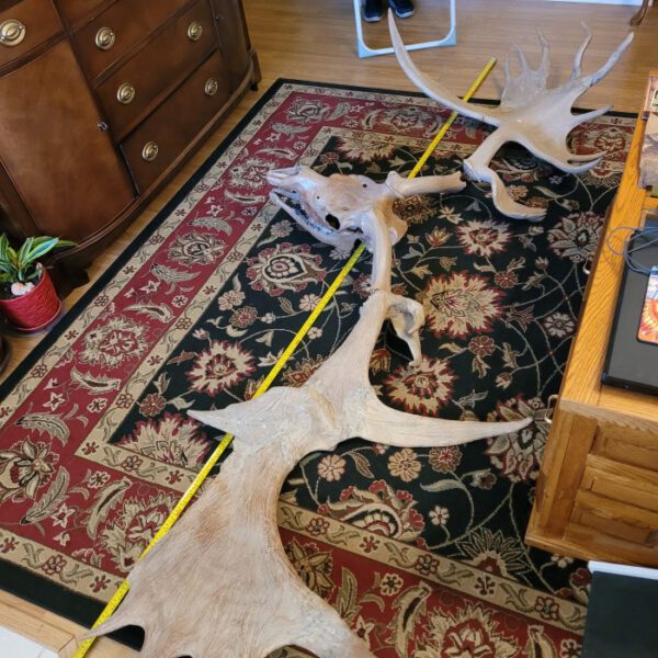 A rug is laying on the floor with a measuring tape.