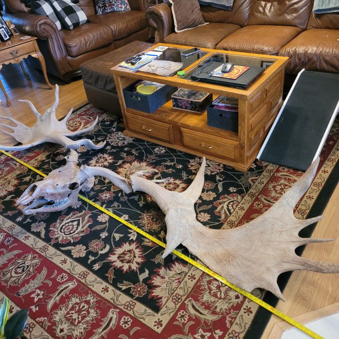 kev4so08 (1) A living room with two large white deer antlers on the floor.