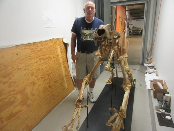 A man standing next to an animal skeleton.