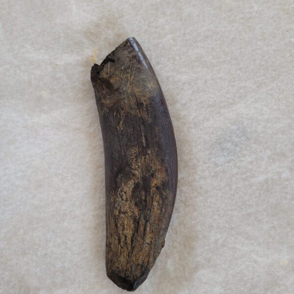 A piece of wood with some brown paint on it