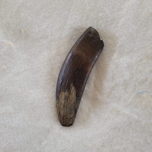 A banana sitting on top of a white blanket.