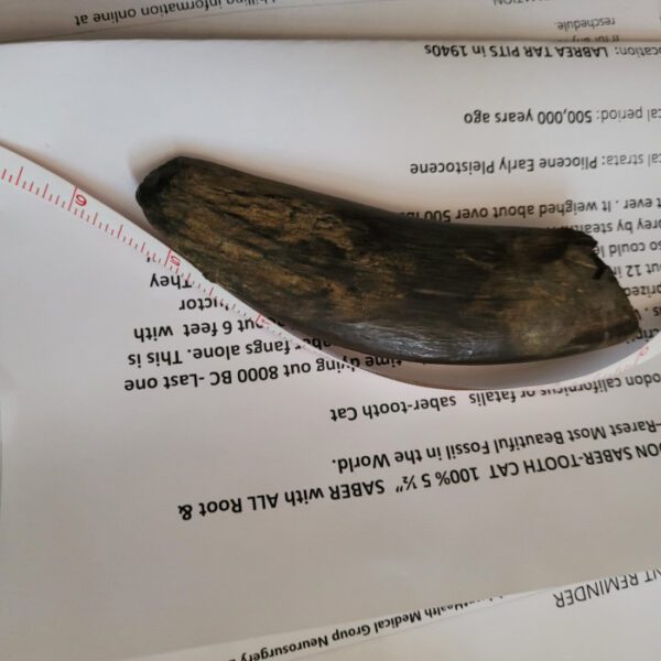 A leaf on top of some paper