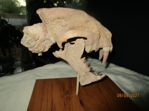 A model of an animal on top of a wooden table.