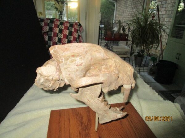 A large white animal statue sitting on top of a table.