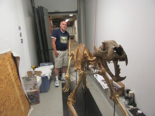 A man standing next to an animal skeleton.