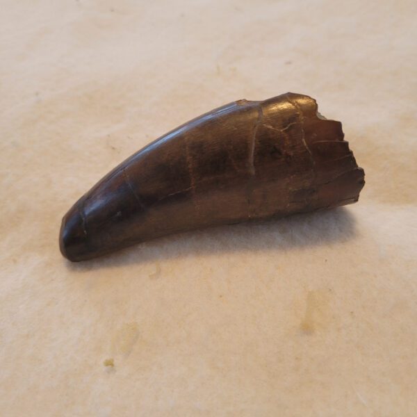 A piece of wood sitting on top of a table.