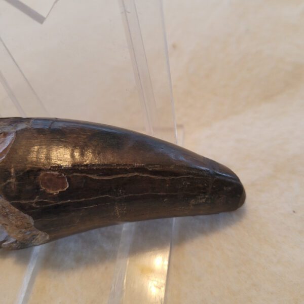 A banana peel sitting on top of a counter.