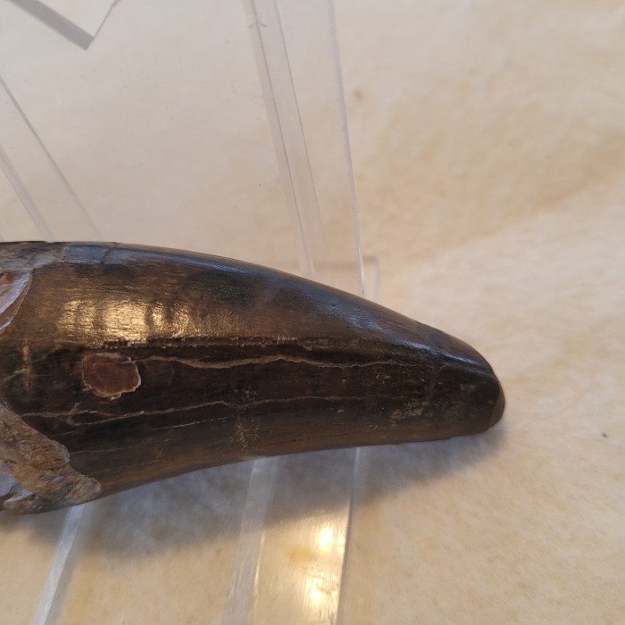 A banana peel sitting on top of a counter.