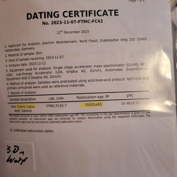 A certificate of authenticity for a dating service.