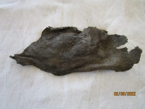 A piece of animal fur on top of a white sheet.