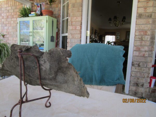 A large piece of rock sitting on the ground outside.
