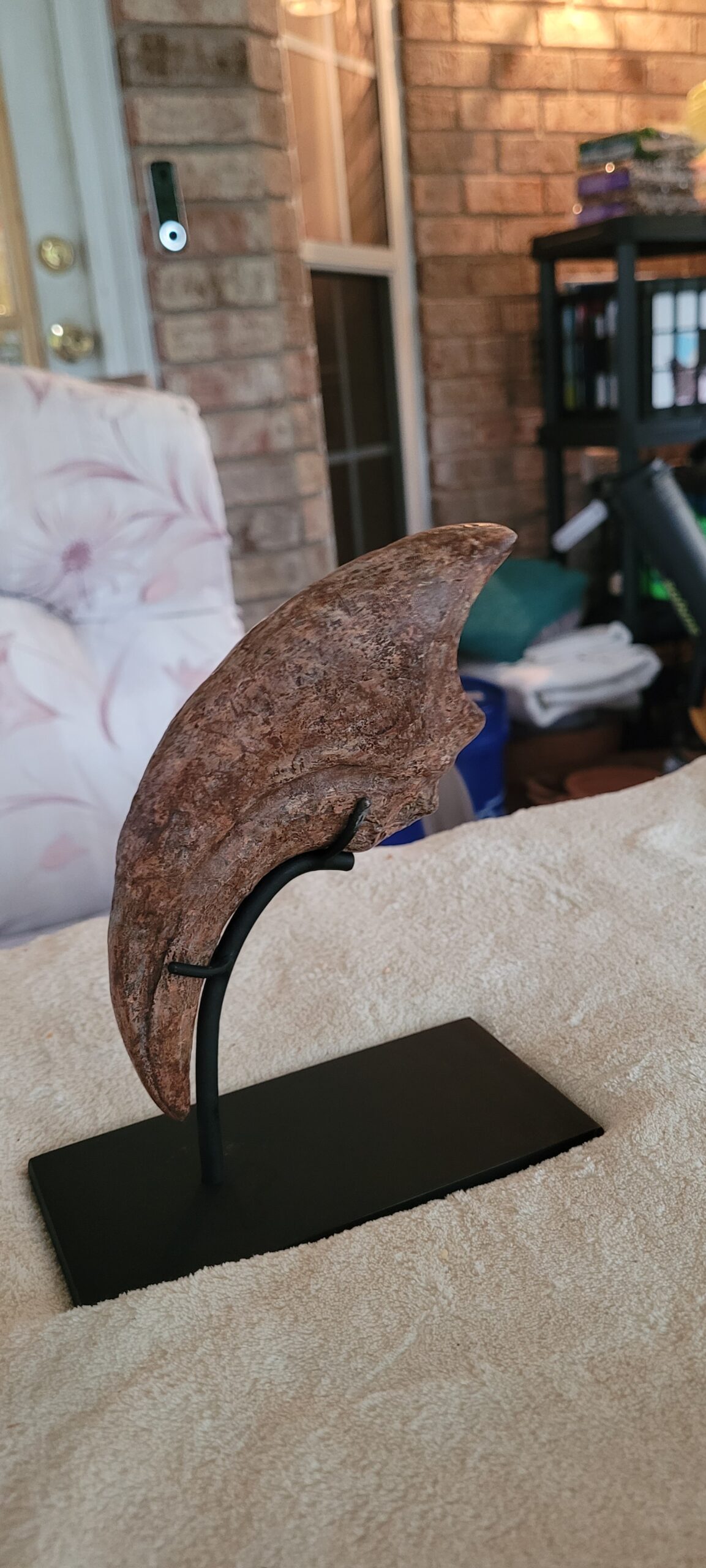 Massive Monster 9.25"Extremely High Quality ALLOSAURUS KILLING HAND CLAW - Image 9
