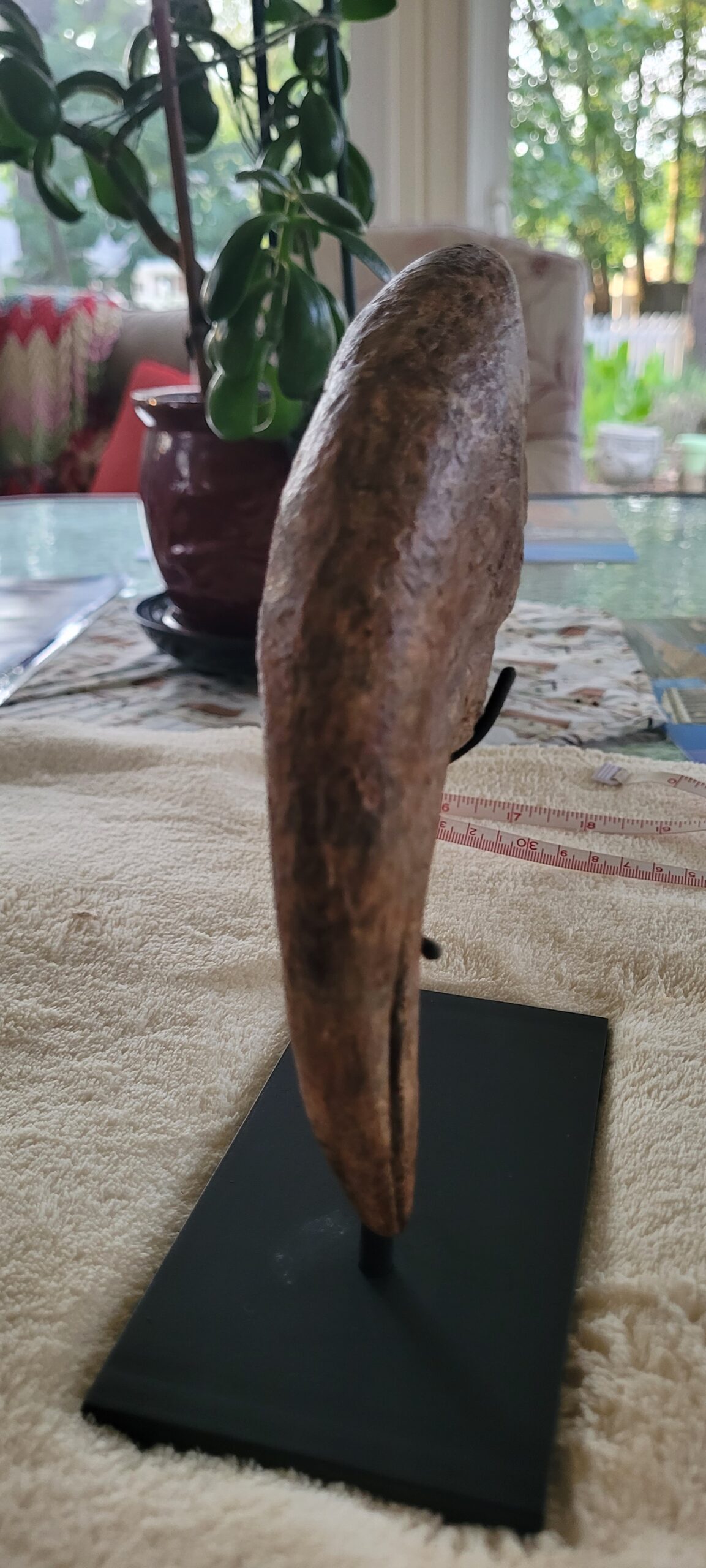 Massive Monster 9.25"Extremely High Quality ALLOSAURUS KILLING HAND CLAW - Image 8